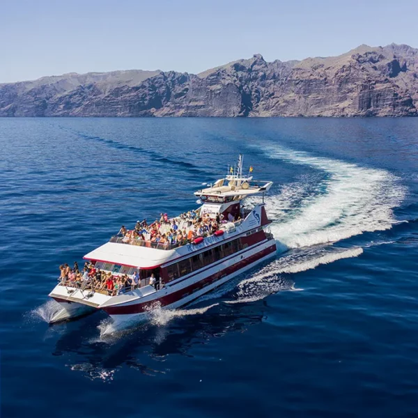 Excursion en bateau Royal Delfin Tenerife