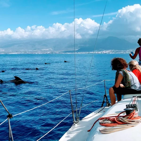 Vuelta en Velero y Charter Tenerife