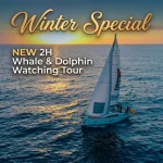 Bedste sejlbådstur og charter på Tenerife