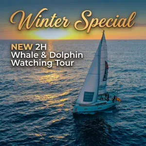 Best SailBoat Tour & Charter Tenerife