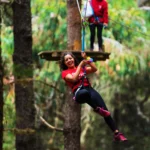 Parco Forestale di Tenerife