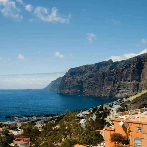 Prohlídka ostrova Tenerife: Výlet autobusem s průvodcem