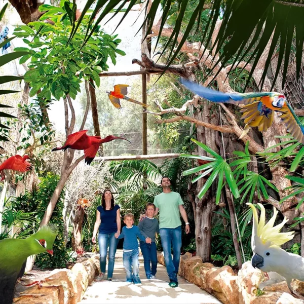 Jungle Park Vogels