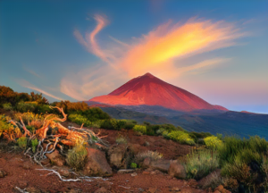 Delicate ecosystem of Teide National Park