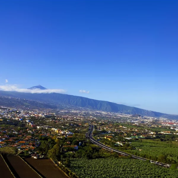 Tenerife Island Tour: Guided Bus Trip