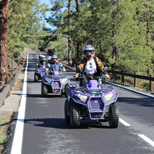 Quad Safari Tenerife