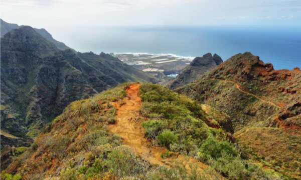 På oppdagelsesferd i naturens skjønnhet