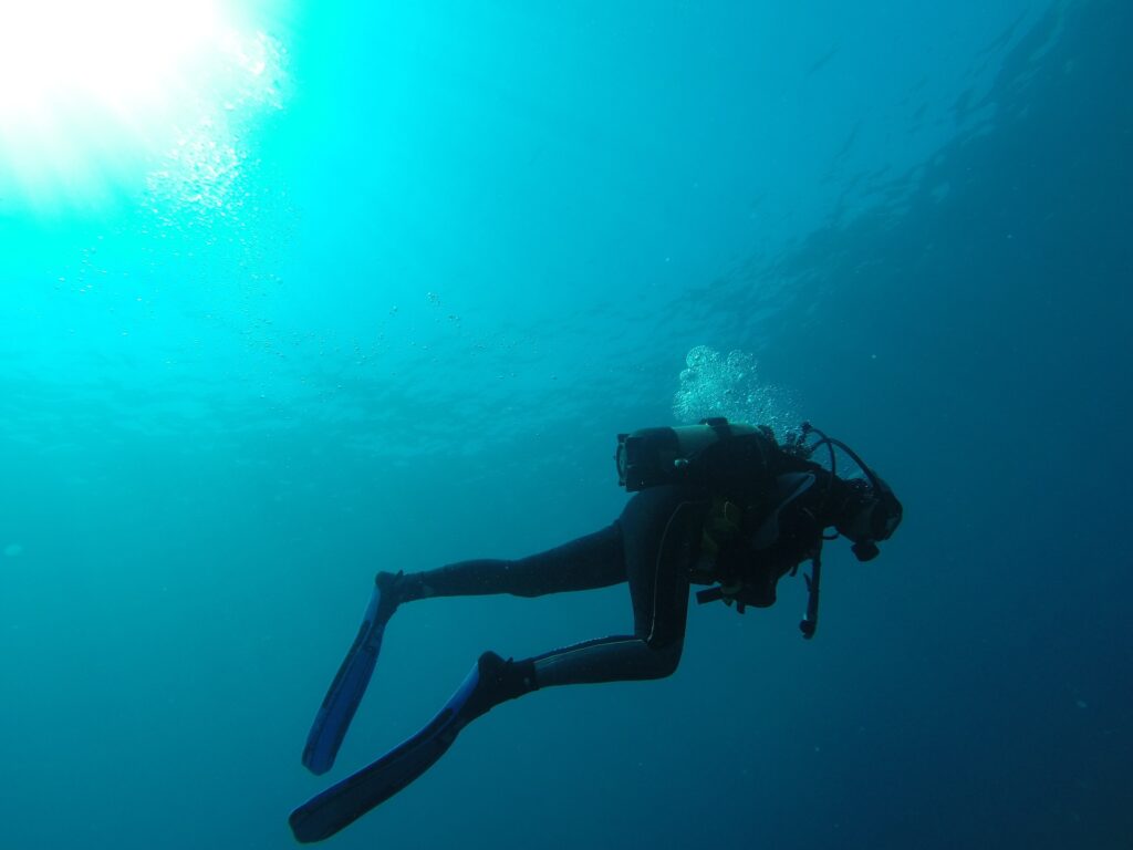 Plongée à Tenerife : Explorer le monde sous-marin fascinant