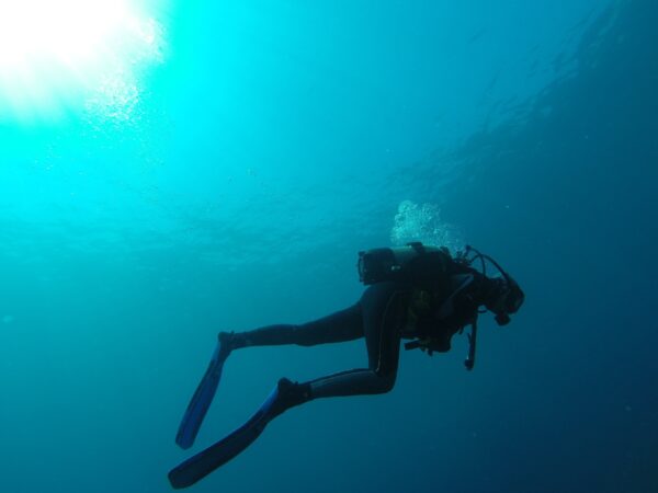 Nurkowanie na Teneryfie: Odkrywanie fascynującego podwodnego świata