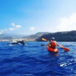 Plaukimas baidarėmis su vėžliais Tenerifėje