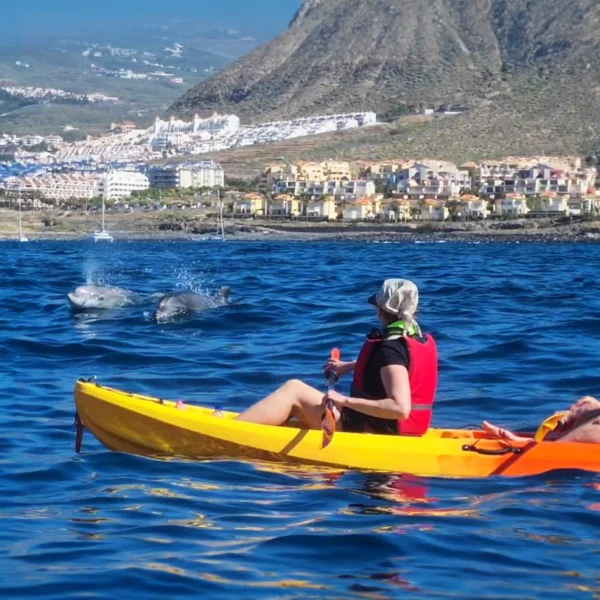Kayak a Tenerife