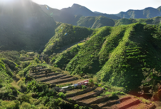 Обираючи між Північним та Південним Тенеріфе для своєї подорожі Сільський парк Анага, Сан-Крістобаль-де-ла-Лагуна