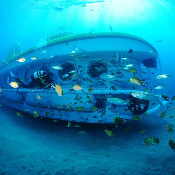 Подводное сафари на Тенерифе