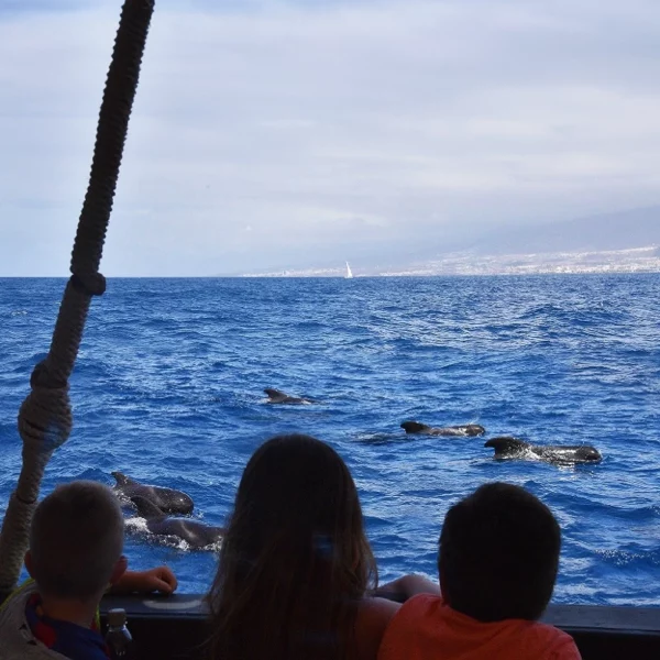 Екскурзия с викингска лодка в Тенерифе