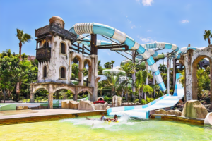 tenerife water parks in tenerife Whale and dolphin watching water park best water park in tenerife 