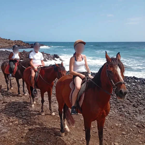 Équitation à Ténérife