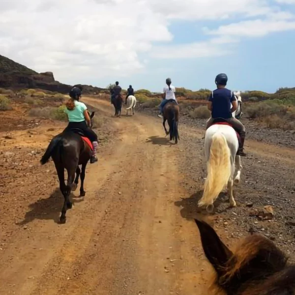Horse Riding Tenerife