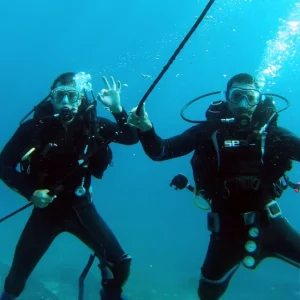 Åbent vand: Dykning på Tenerife
