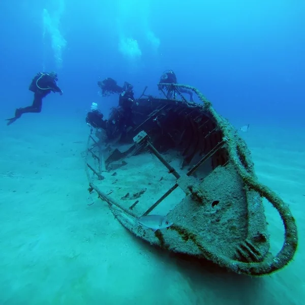 Plongée sous-marine à Ténérife