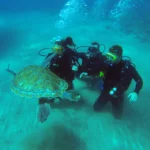 Plongée sous-marine à Ténérife