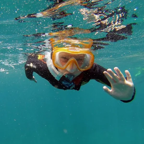 Snorkeling with Turtles Tenerife