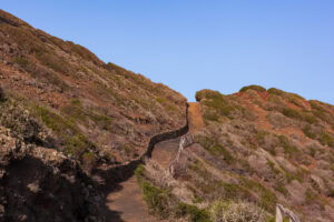 wędrówki teide teneryfa eko obserwacja wielorybów na teneryfie wędrówki teide teneryfa