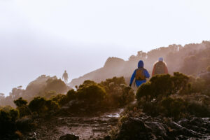 horseback riding tenerife hiking in tenerife south guided walking tenerife