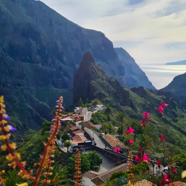 Natural Pools, Masca & Los Gigantes Tour + Picnic