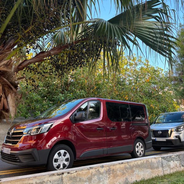 Natural Pools, Masca & Los Gigantes Tour + Picnic