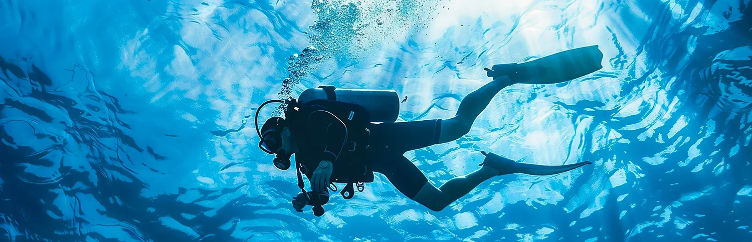 Tauchen auf Teneriffa: Wo Sie tauchen können, was Sie sehen werden und wie Sie buchen können Tauchen auf Teneriffa