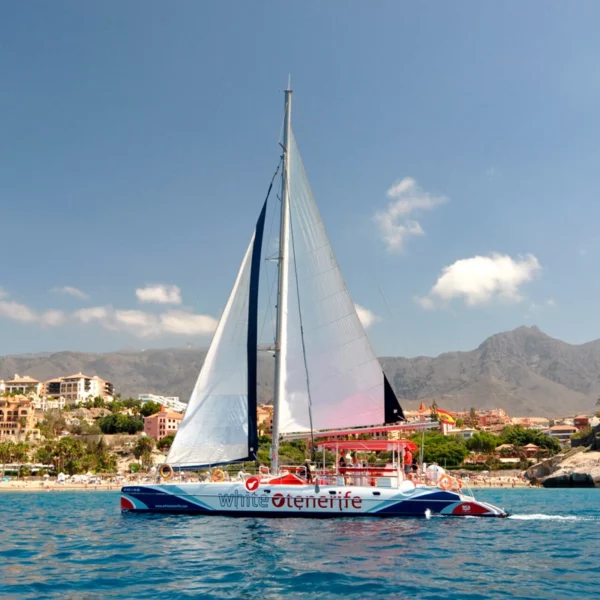 Catamaran Tenerife Wit Paradijs