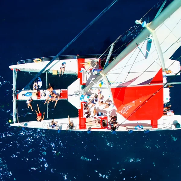 White Paradise Tenerife Catamaran