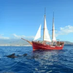 Peter Pan Pirate Ship Tenerife