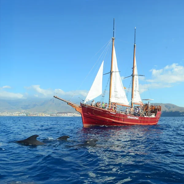 Peter Pan Pirate Ship Tenerife