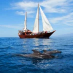 Shogun Boat Tour Tenerife