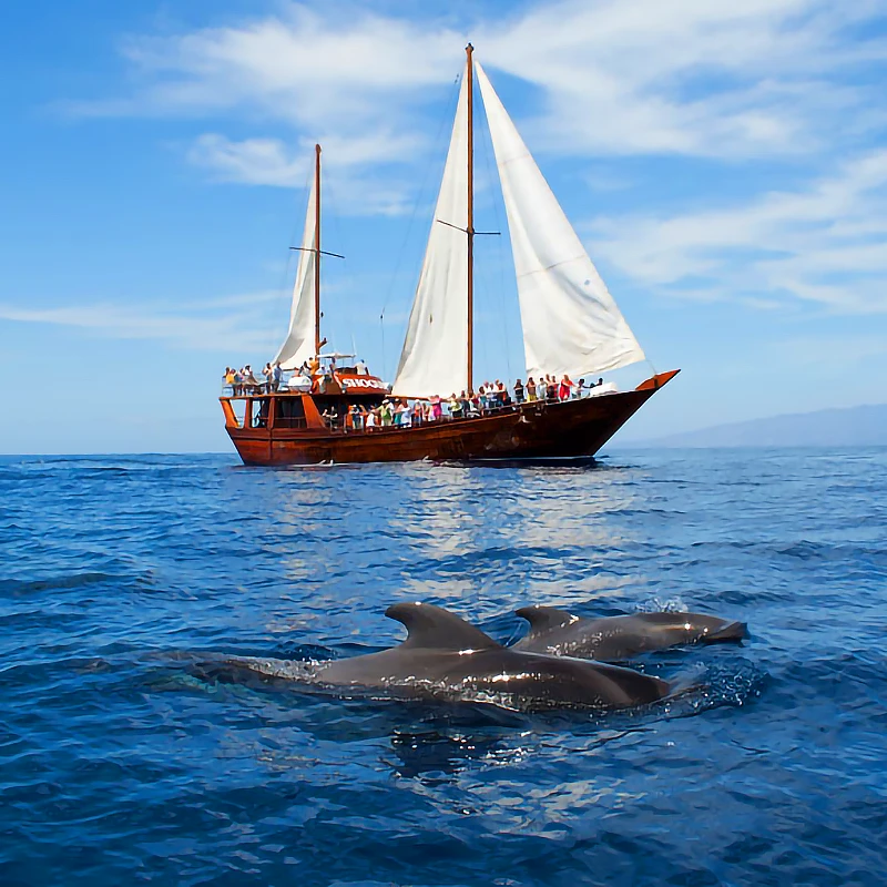 Passeio de barco Shogun em Tenerife