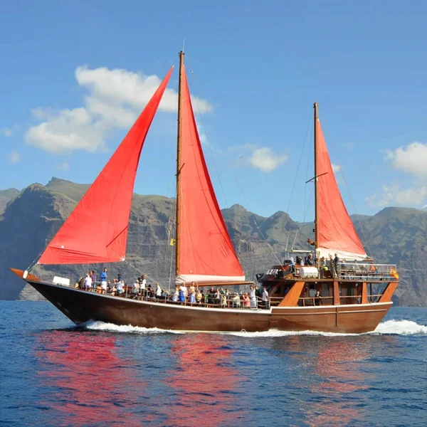 Shogun Boat Tour Tenerife