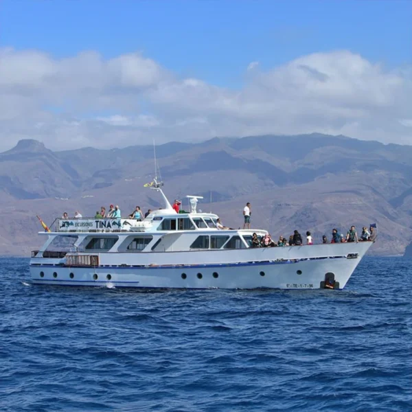 Excursión en barco Tina La Gomera