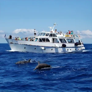 Excursión en barco Tina La Gomera