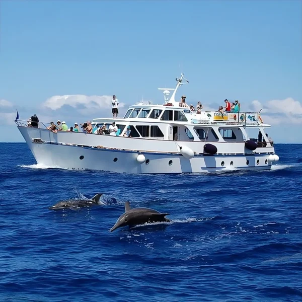 Excursión en barco Tina La Gomera
