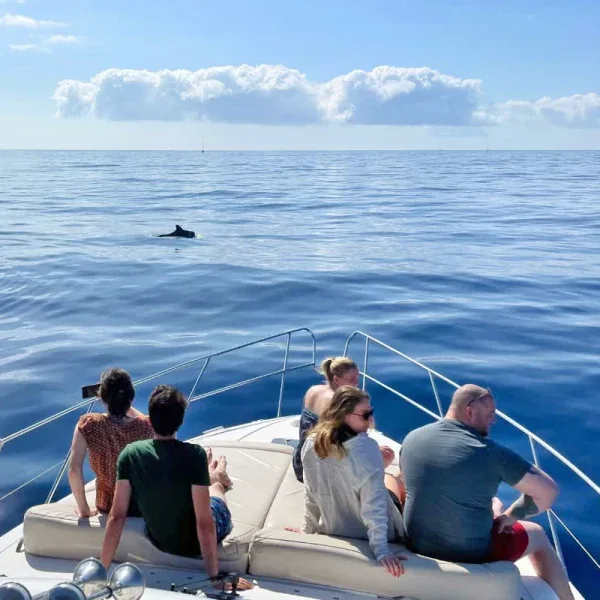 Royal Ocean Private Yacht Tenerife