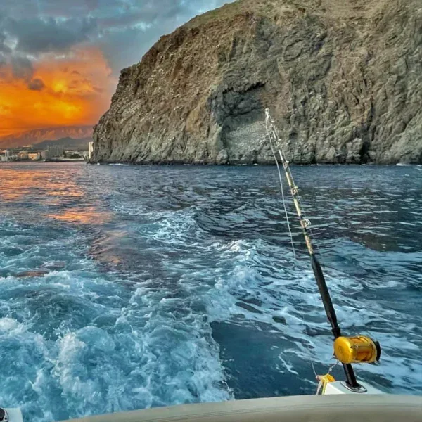 Royal Ocean Private Yacht Tenerife