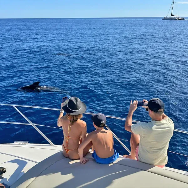 Royal Ocean Private Yacht Tenerife