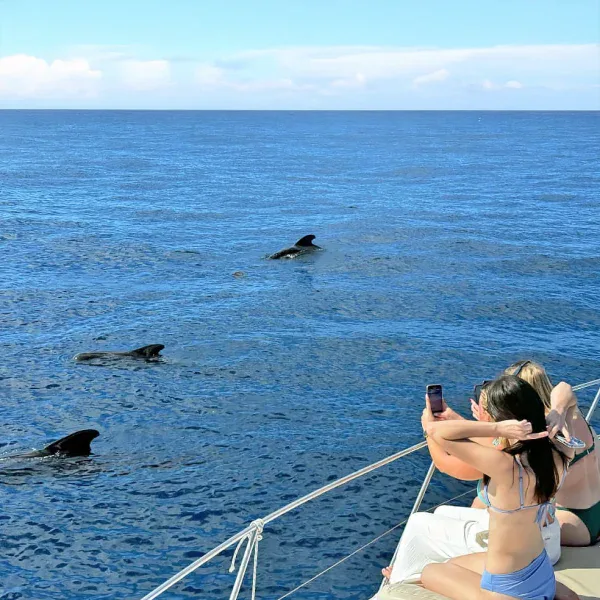 Royal Ocean Private Yacht Tenerife