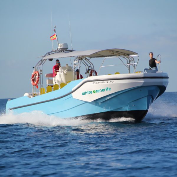 Fast Boat Tour from Los Cristianos to Los Gigantes