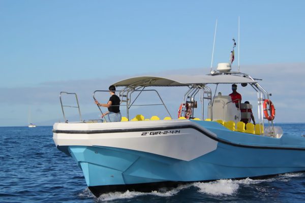 Fast Boat Tour from Los Cristianos to Los Gigantes