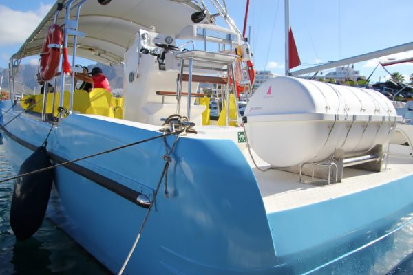 Fast Boat Tour from Los Cristianos to Los Gigantes